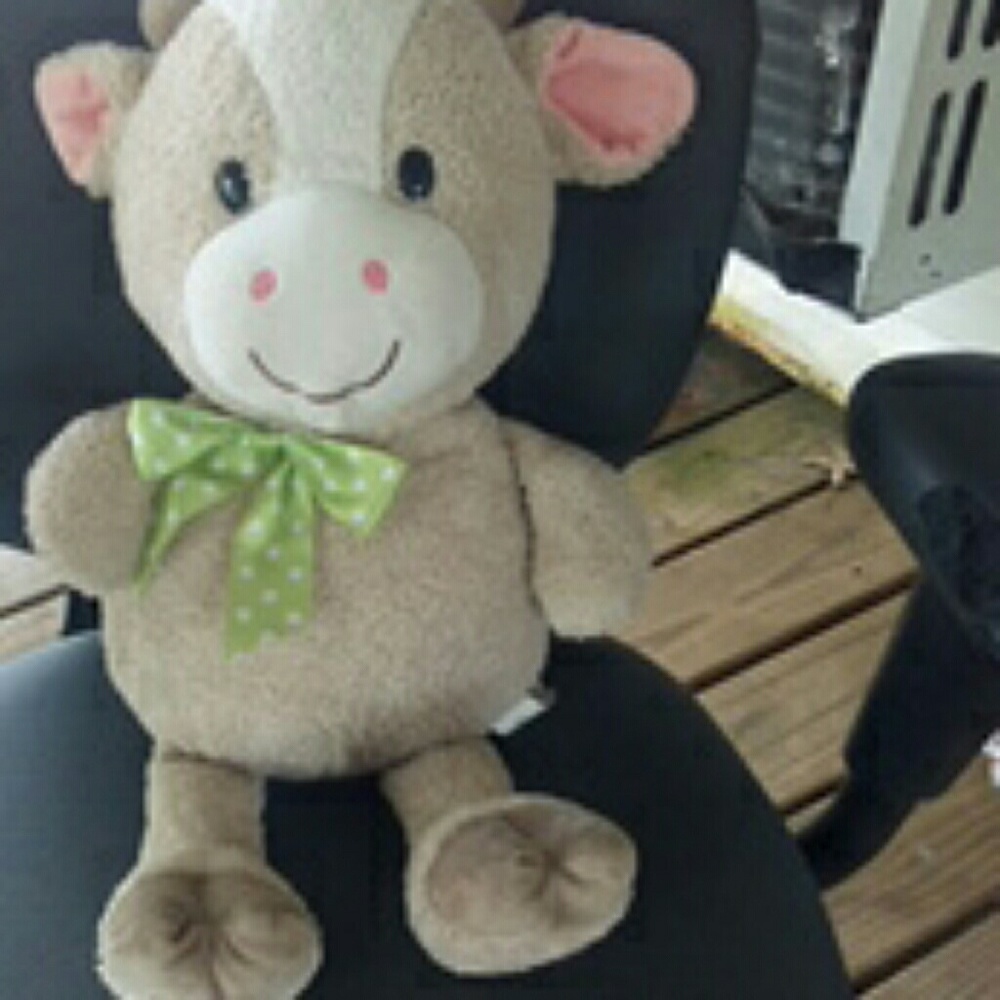 Stuffed animal